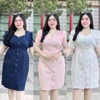 ราคา เดรสสาวอวบ ผ้าลูกไม้มีซับใน อก38-46 D217 (29505033928)