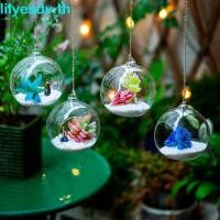 ราคา LILYES แขวนแจกันแก้ว, โปร่งใสแขวน Tealight ผู้ถือ, Ball คอนเทนเนอร์ Borosilicate แก้วใส 6/8/10/12/15 ซม.Succulents พืช Ball คอนเทนเนอร์งานแต่งงาน (49311449916)