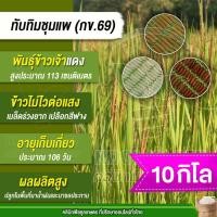 ราคา เมล็ดพันธุ์​ข้าว ข้าวจ้าวแดง ทับทิมชุมแพ กข.69 นาปี นาปรัง ไม่ไวแสง ต้นเตี้ย หอมนุ่มนาน 10 กก. คูลเกษตร ไรซ์ KR90 (41405133946)