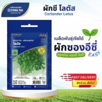 ราคา Easy เมล็ดพันธุ์ผักชี โลตัส 1,600เมล็ด เจียไต๋ Coriander Lotus (55156907635)
