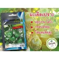 ราคา มะเขือเปราะ (100 เมล็ด) คางกบ เจียไต๋ (8561041795)