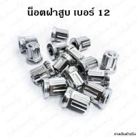 ราคา *** 1 ตัว *** ตัวเมียฝาสูบ เลสเงิน น็อตฝาสูบหัวปิด เบอร์ 12 ตีนเสื้อ น๊อต (12305603765)