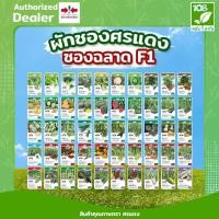 ราคา ขายส่ง ยกแพ็ค ผักซองศรแดง F1 รวมเมล็ดพันธุ์ แตงกวา แตงร้าน บวบ แฟง บรรจุ เมล็ดพันธุ์ตราศรแดง (1แพ็ค=10 ซอง) (54559584895)
