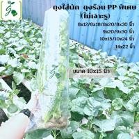 ราคา ถุงใส่ผัก ขนาด 10x15 นิ้ว ขนาด 1 กก.(มีขนาด 125-135ใบ/กก.) (7436149614)