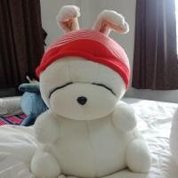 ราคา พร้อมส่งกระต่ายมาชิมาโร่Mashimaroไซส์23นิ้ว (13708473310)
