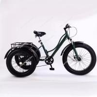 ราคา 24inch Adult Electric Cargo Tricycle bike 3 wheel Fat tire bicycle scooter motorized electric tricy (45955879145)
