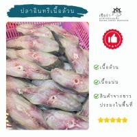 ราคา ปลาอินทรีหั่นเนื้อล้วน ปลาอินทรี (42910367127)