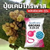 ราคา ปุ๋ยเคมีโกรฟาส 8-24-24+5s (กระสอบ 25 กก.) GROFAS SULFATE ปุ๋ยซัลเฟตแท้ นำเข้าจากต่างประเทศ (25609661978)