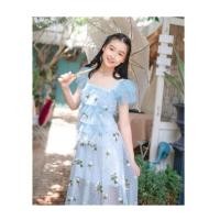 ราคา เดรสสีฟ้า งานป้าย Widelia@real ไซร์ s ใส่ 1 ครั้ง ไม่มีตำหนิ (2591677859)
