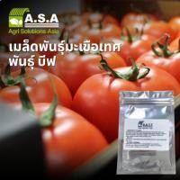 ราคา เมล็ดพันธุ์มะเขือเทศพันธุ์เนื้อ Beef Tomato Seeds (41074039650)