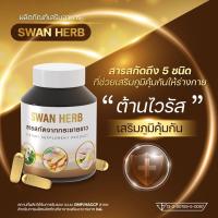 ราคา สารสกัดกระชายขาว Swan Herb (8387280229)