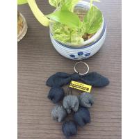 ราคา Kaknanfang พวงกุญแจผ้ายีนดอกทิวลิป (11224755498)