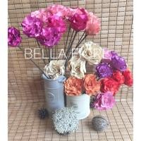 ราคา ชบาดอย สีสดใส 1 กำ มี 3 ดอก มีให้เลือก24 สีเลยจ้า (306745536)