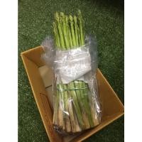 ราคา หน่อไม้ฝรั่งสด - หน่อไม้ฟรั่ง ผักผลไม้ (44601965285)