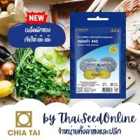 ราคา CTSE เมล็ดพันธุ์ ฟักทอง ทองคำ 443 2กรัม ตราเจียไต๋ Golden 443 Pumpkin Seeds (57457360702)