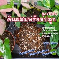 ราคา ดินผสมพร้อมปลูก สูตรโปร่ง สำหรับ ต้นเงินไหลมา ต้นออม ต้นไม้ด่าง หรือต้นไปม้ประเภทพลู (10862387343)
