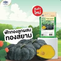 ราคา ซองละ 22เมล็ด ฟักทอง ทองสยาม ทนไวรัส เจียไต๋ เมล็ดพันธุ์ฟักทอง (25014605096)