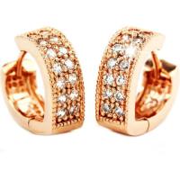 ราคา TANITTgems ต่างหูห่วงนาก ประดับเพชรน้ำงาม (216671747)