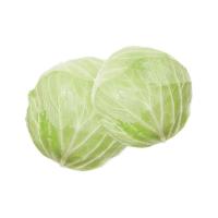 ราคา 300 เมล็ด กะหล่ำปลี กะหล่ำใบ กะหล่ำ Cabbage Seeds Non-GMO สายพันธุ์ กะหล่ำปลีขาว (42773677027)
