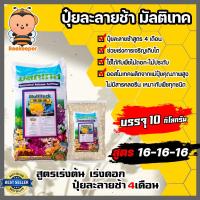 ราคา ปุ๋ยละลายช้า มัลติเทค สูตร 16-16-16 บรรจุ 10 กิโลกรัม (Fertilizer) ปุ๋ยมัลติเทค ปุ๋ย สำหรับ ดอกไม้ ผัก พืชทุกชนิด (13799724399)