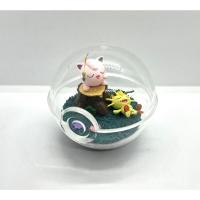 ราคา โปเกมอน เนียส พูริน Pokemon Jigglypuff & Meowth RE-MENT Terrarium Collection 9 Poke Ball Mini Figure (43528777426)