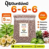 ราคา ปุ๋ยสูตร 6-6-6 ตราสามม้าเงา [ แบ่งขาย 5 กก. ] - ปุ๋ยอินทรีย์เคมี บำรุงทั่วไป บำรุงทุกส่วน พืชผักสวนครัว ไม้ผลทุกชนิด (17579459323)