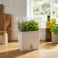 ราคา ELMER Fresh Herb Keeper, เครื่องล้างผักสุญญากาศพลาสติก, หลักฐานบดความจุขนาดใหญ่ที่ใช้งานได้จริงพร้อมฝาปิด ที่ใส่ผักกาดหอมสมุนไพรใช้กลางแจ้ง (45309611950)