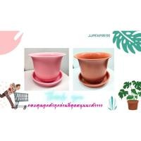 ราคา กระถางเกลียว 10" (พร้อมจานรอง) พลาสติกหนาอย่างดี มีสีชมพูและสีส้มอิฐ (11222592591)