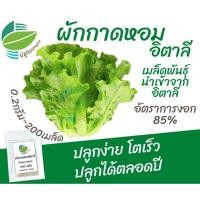 ราคา เมล็ดพันธุ์ ผักกาดหอมอิตาลี ( Italian Lettuce) (25117311015)