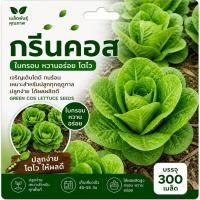 ราคา เมล็ดผักกรีนคอส(Green Cos) (48110308156)