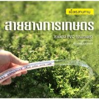 ราคา ท่อรดน้ำ สายยางPVC สายยางรดน้ำ สายยางใส 1 นิ้ว (เส้นผ่านศูนย์กลาง 25 mm.) แบ่งขาย 25 / 50 เมตร (14211467736)