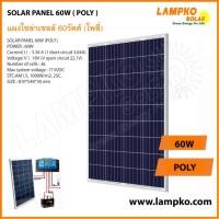 ราคา LAMPKO แผงโซล่าเซลล์ Poly 60W (5952789612)