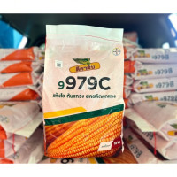 ราคา ข้าวโพดดีคาล์บ 9979c (3.5 หุน) ขนาด 10 กก. โตไว ฝักเต็ม แถวแน่น สีสวย ได้ผลผลิตสูง (46510778535)