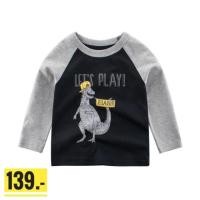 ราคา เสื้อยืดเด็ก Cotton 100% แขนยาว ตัวละ 100 บาท สินค้าในสต็อกพร้อมส่ง (8145247757)