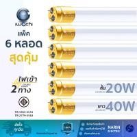 ราคา (แพ็ค 6 หลอด) หลอดไฟ LED T8 สั้นและยาว 20W,40W 2300LM 4600LM เฉพาะหลอด ขั้วทอง Iwachi (20149402841)