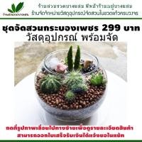 ราคา ชุดจัดสวน กระบองเพชร DIY ในขวดแก้ว 259 บาท มีของพร้อมส่ง (1430731767)