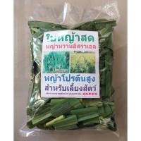 ราคา หญ้าสดอาหารสัตว์ หญ้าสับ (หญ้าหวานอิสราเอล) โปรตีนสูง (บรรจุ200กรัม) (5058543517)