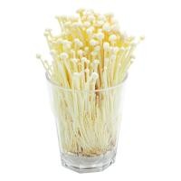 ราคา มายช้อยส์เห็ดเข็มทอง 200กรัม My Choice Enoki Mushroom 200g. [หมายเลขบาร์โค้ด 0000036431021 ] (40081852708)