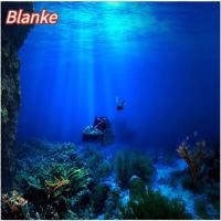 ราคา BLANKE กาวติดเอง, สติ๊กเกอร์วอลเปเปอร์ PVC, พื้นหลังตกแต่งตู้ปลา 61 x 30 ซม. โปสเตอร์ตู้ปลา (40131692434)