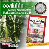 ราคา ปุ๋ยออสโมโค้ท สูตร 13-13-13(ขนาด 100 กรัม) สูตร 3เดือน ปุ๋ยสูตรเสมอ ปุ๋ยละลายช้า ปุ๋ยแคคตัส (9664717833)
