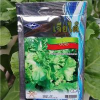 ราคา ตั้งโอ๋ (Garland Chrysanthemum) เจียใต๋ (40423274435)