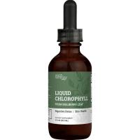 ราคา Earth Harmony Liquid Chlorophyll Drops, รองรับระบบภูมิคุ้มกัน, ขจัดกลิ่นใน Body-J Chlorophyll-Clorofila Liquida, Chlorin Cl (51409454873)