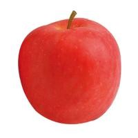 ราคา แอปเปิ้ลญี่ปุ่นมุทสึ Japanese Mutsu Apple [หมายเลขบาร์โค้ด 0218711000008 ] สินค้าคุณภาพดี คัดสรรอย่างตั้งใจ (41428562399)