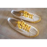 ราคา รองเท้าผ้าใบ Gambol (341586291)