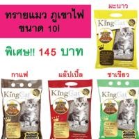 ราคา ทรายภูเขาไฟ KingCat 10L (3743948550)