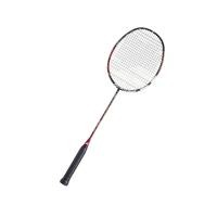 ราคา Babolat Badminton Racket X-Feel Fury Frame Only for Sports Enthusiasts (44231899379)