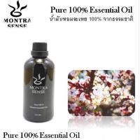 ราคา น้ำมันหอมระเหย - Essential Oil 50 ml. - Montra Sense (4035952564)