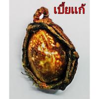 ราคา จี้เบี้ยแก้ มหาโชคลาภ ร่ำรวยเงินทอง เบี้ยแก้ เครื่องรางของขลัง กันคุณไสยคงกระพัน (306758218)