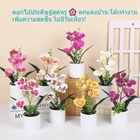 ราคา 27ซม ดอกกล้วยไม้ประดิษฐ์ในกระถาง ตกแต่งบ้าน ต้นไม้ปลอม ของตกแต่งโต๊ะทำงาน สไตล์มินิมอล สวยเหมือนจริง (28185948573)
