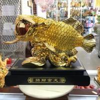 ราคา ปลามังกร ปลามงคลแห่งโชคลาภ และความมั่งคั่ง (6913274128)